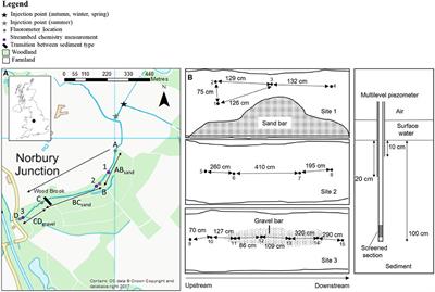 Advection Not Dispersion and Transient Storage Controls Streambed Nutrient and Greenhouse Gas Concentrations